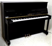 Yamaha YU 116D